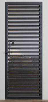 Двери Dooris Glass DG10