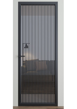 Двері Dooris Glass DG11