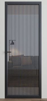 Двери Dooris Glass DG11