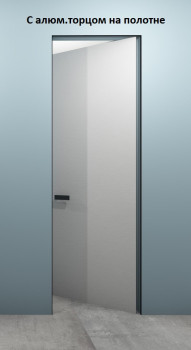 Двери Скрытого Монтажа Dooris G00 INSIDE Alum грунт