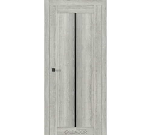 Двери Leador Premium Gardenia Lacobel черный