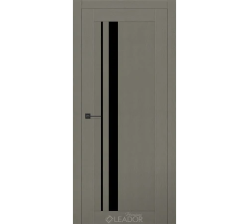 Двери Leador Premium Viola Lacobel черный