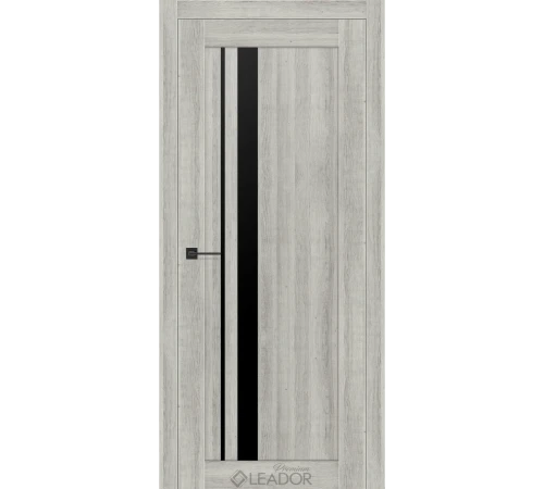 Двери Leador Premium Viola Lacobel черный