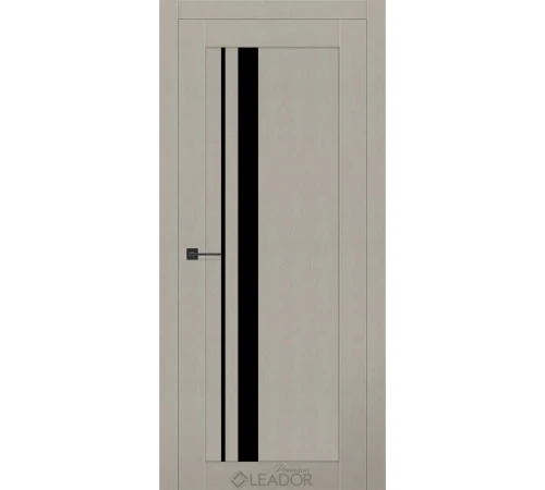 Двери Leador Premium Viola Lacobel черный