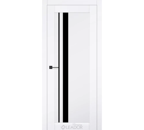 Двери Leador Premium Viola Lacobel черный