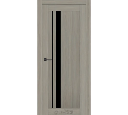 Двери Leador Premium Viola Lacobel черный
