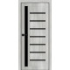 Міжкімнатні Двері Portalino Doors PL-ECO-01 Чорне скло Ламінатин
