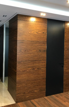 Двері RockWood Design до стелі Roof 8