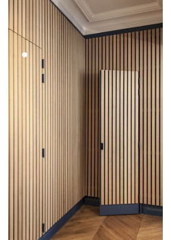 Двери RockWood Design с рейками Rail 1