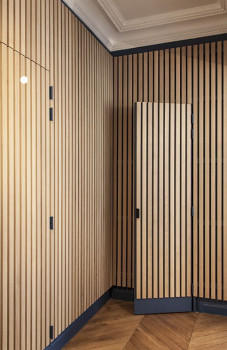 Двері RockWood Design з рейками Rail 1