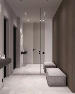 Двері RockWood Design Secret Mirror З дзеркалом