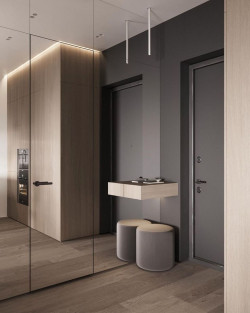 Двери RockWood Design Glass Hide С зеркалом