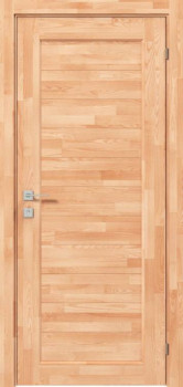 Двері Rodos Woodmix Master ПГ