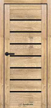 Двери Syndicate Doors SD-ECOTOP-102 Черное стекло