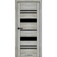 Міжкімнатні Двері Syndicate Doors SD-ECOTOP-104 Чорне скло Ламінатин