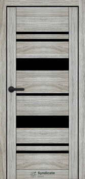 Двери Syndicate Doors SD-ECOTOP-104 Черное стекло
