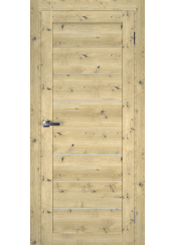 Двері Terminus Ukrainian Doors UD-1