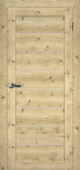 Двери Terminus Ukrainian Doors UD-1