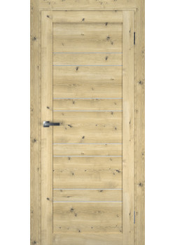 Двері Terminus Ukrainian Doors UD-6