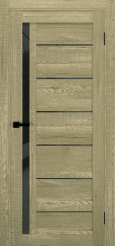 Двери Terminus Ukrainian Doors UD-13 Черное стекло