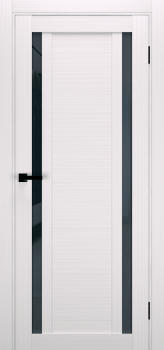 Двери Terminus Ukrainian Doors UD-17 Черное стекло