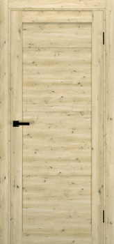 Двери Terminus Ukrainian Doors UD-18