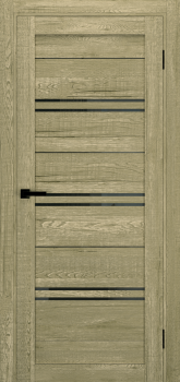 Двери Terminus Ukrainian Doors UD-11 Черное стекло