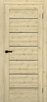 Двери Terminus Ukrainian Doors UD-12 Черное стекло