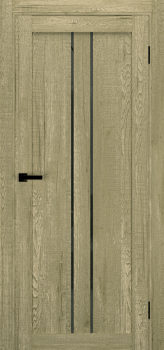 Двери Terminus Ukrainian Doors UD-14 Черное стекло