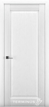 Двери Terminus Synchro 605 ПГ