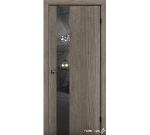 Межкомнатные Двери Terminus Solid 2 803 ПВХ