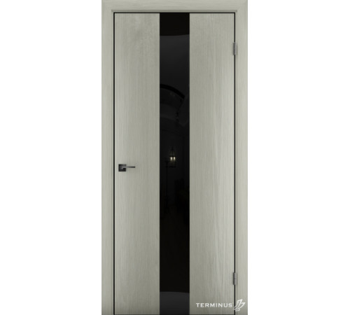 Межкомнатные Двери Terminus Solid 2 804 ПВХ