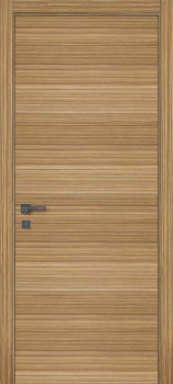 Двері WakeWood Evolushion 01