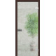 Межкомнатные Двери WakeWood All-glass 01 Стеклянные