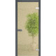 Межкомнатные Двери WakeWood All-glass 02 Стеклянные