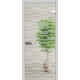 Межкомнатные Двери WakeWood All-glass 04 Стеклянные