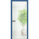 Міжкімнатні Двері WakeWood All-glass 06 Скляні