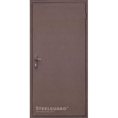 Входные Двери 161 RAL 8019 "Steelguard"-0