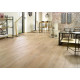 Ламинат Alsaplan Homflor Distingo - HD 535 Дуб Пралін