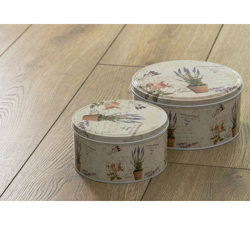 Ламинат Alsaplan Homflor Distingo - HD 535 Дуб Пралін