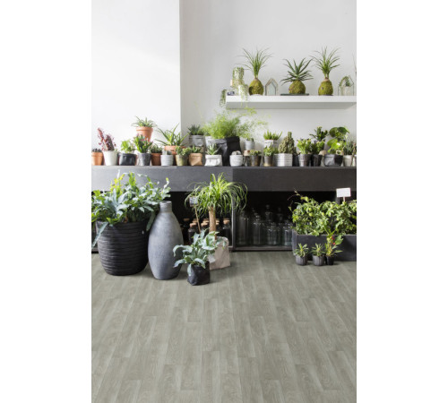 Линолеум Beauflor Feelings Chapman Oak 996M