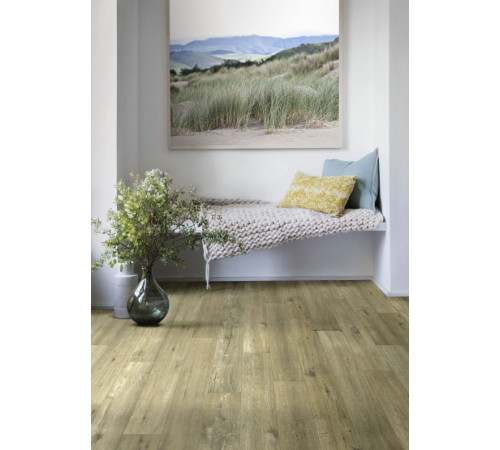 Линолеум Beauflor Feelings Tasmanian Oak 169M