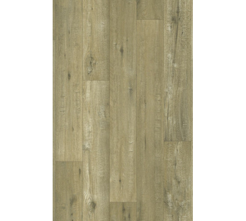 Линолеум Beauflor Feelings Tasmanian Oak 169M