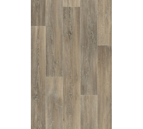 Линолеум Beauflor Quintex Lime Oak 160L