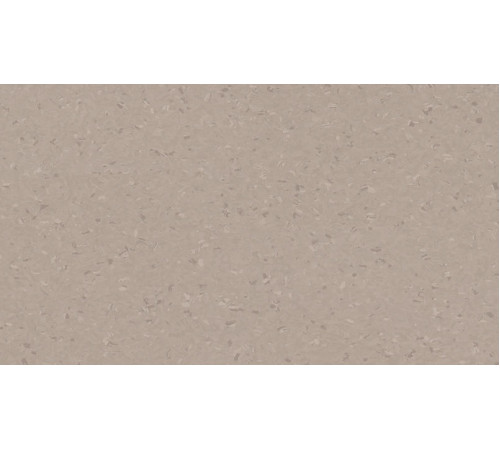 Линолеум Tarkett iQ NATURAL - Natural COLD BEIGE 0840