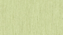 Линолеум Tarkett iQ OPTIMA - Optima LIGHT OLIVE GREEN 0837