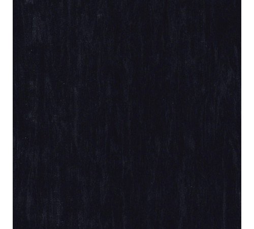 Линолеум Tarkett STANDARD PLUS - Standard BLACK 0500