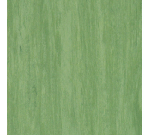 Линолеум Tarkett STANDARD PLUS - Standard DARK GREEN 0921