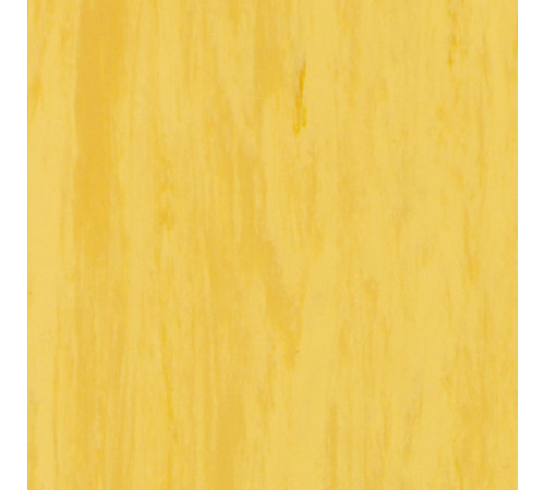 Линолеум Tarkett STANDARD PLUS - Standard GOLD 0916