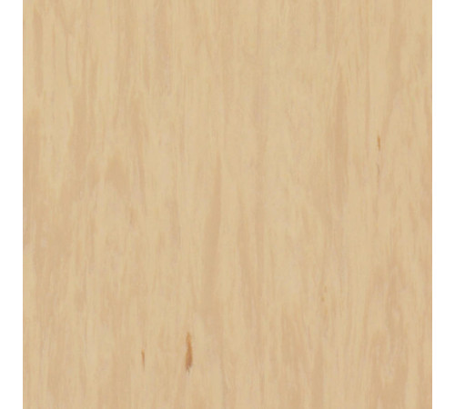 Линолеум Tarkett STANDARD PLUS - Standard SANDSTONE 0484
